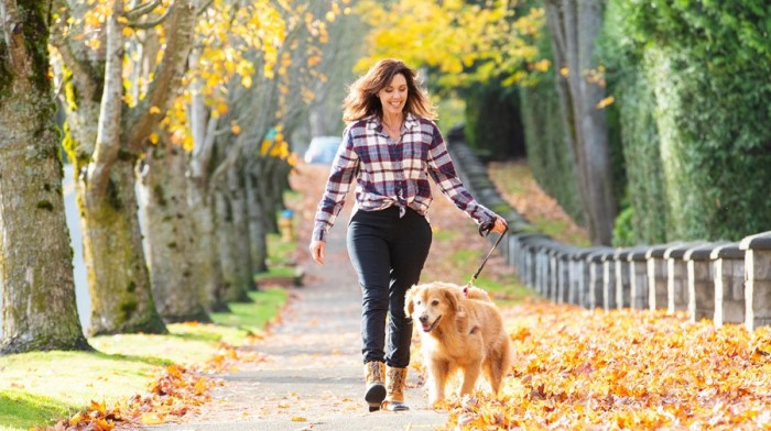 Dog Walk